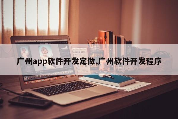 广州app软件开发定做,广州软件开发程序
